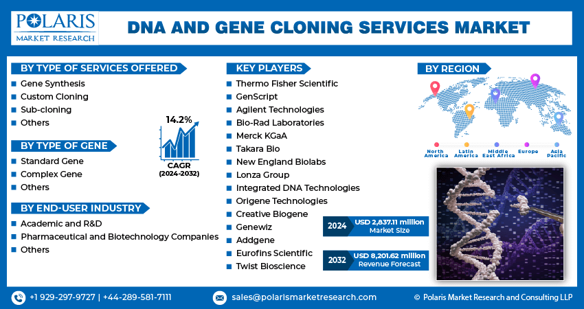 DNA and Gene Cloning Services Market Info